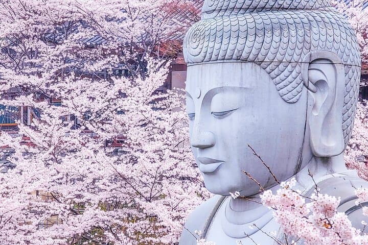 Cherry Blossom Buddha and Mt.Yoshino with Strawberry Picking Tour
