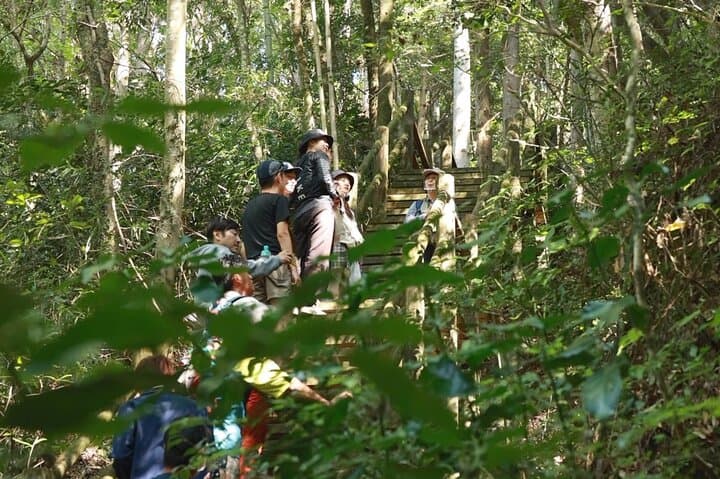 Private 3 Hours Ukiha's Forest Visit with Yoga Activity