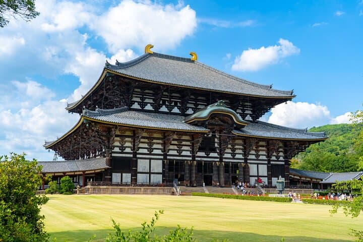 Nara Day Tour: Todai-ji, Kasuga Taisha & Sacred Deer Walk