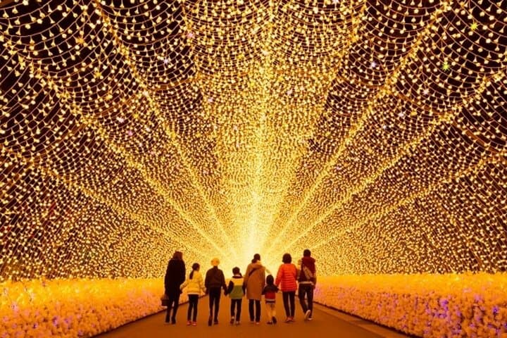 Nagoya Jazz Dream Outlet and Nabana no Sato Light Show Tour