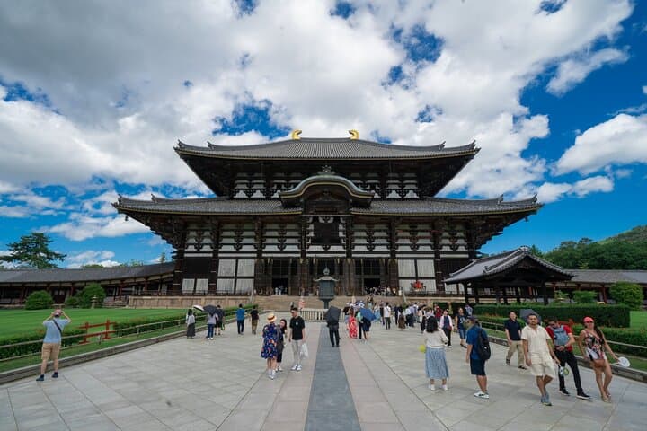 Explore Nara in a Day Van Tour from Kyoto