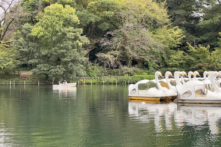 Kichijoji Family Adventure –4-Hour Custom Private Tour