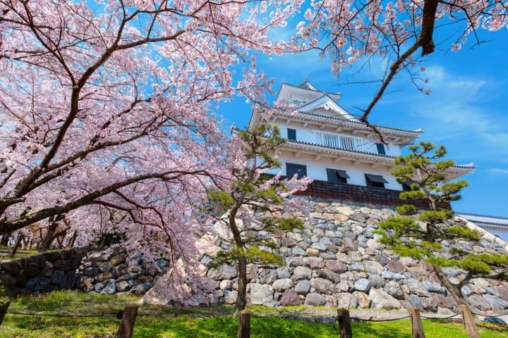 Kyoto Osaka to Lake Biwa Private Day Tour