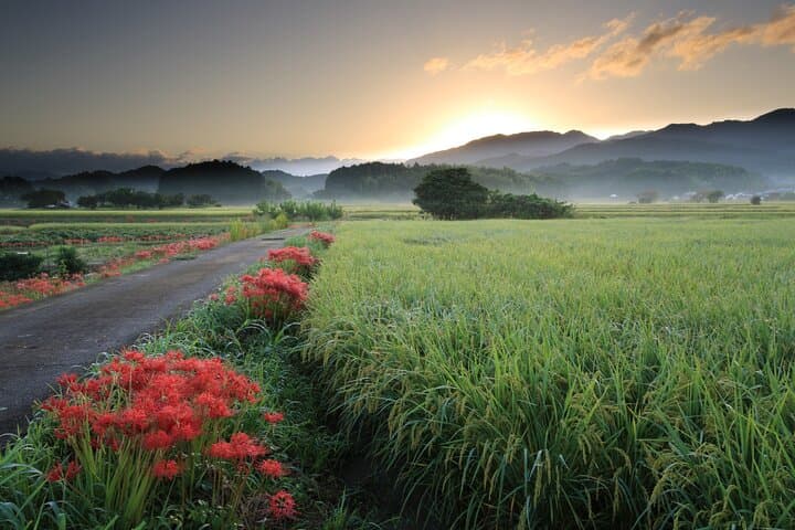 Private 2 Days Tour in Asuka Village Hidden Gems of Nara