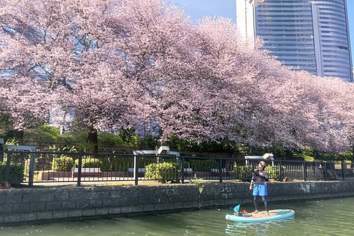 Stand up Paddle Boarding experience in Osaka