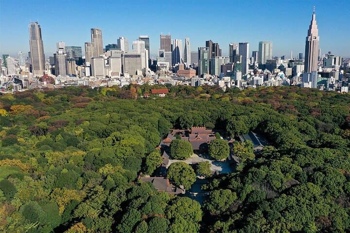 Tokyo: Meiji Shrine Walking Tour — Shintoism & Imperial System