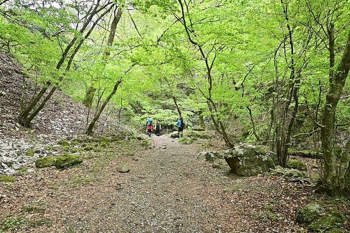 Hiking Adventure to Mt. Mitake, escaping from the Heart of Tokyo