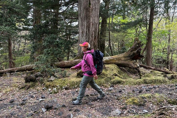 Private Mt Fuji Car and Hiking Experience from Gotemba