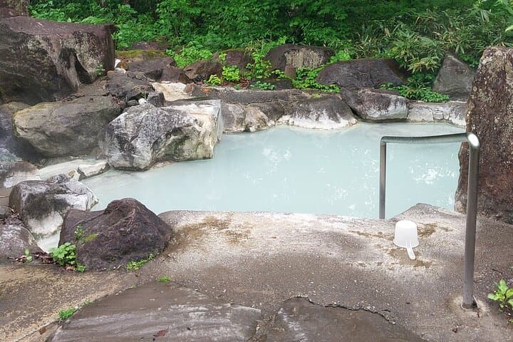 Tsubame Onsen & Lake Nojiri: Nature Walk and Lunch Tour