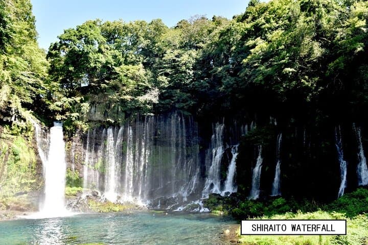 Fuji Nature 6hr Private Tour from Shinfuji with Guide and Vehicle
