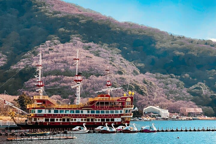 Only 1 Group per Day – Hakone Private Tour with Hotel Pickup