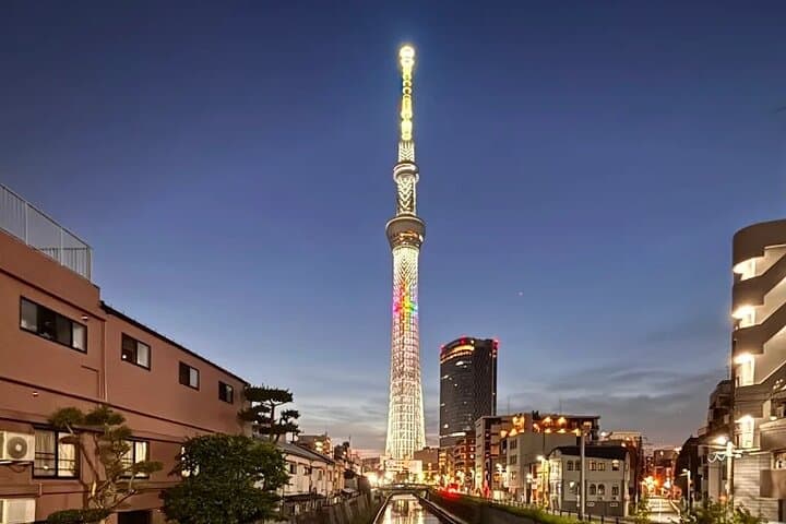 Private Tokyo Night Tour by Private Bus