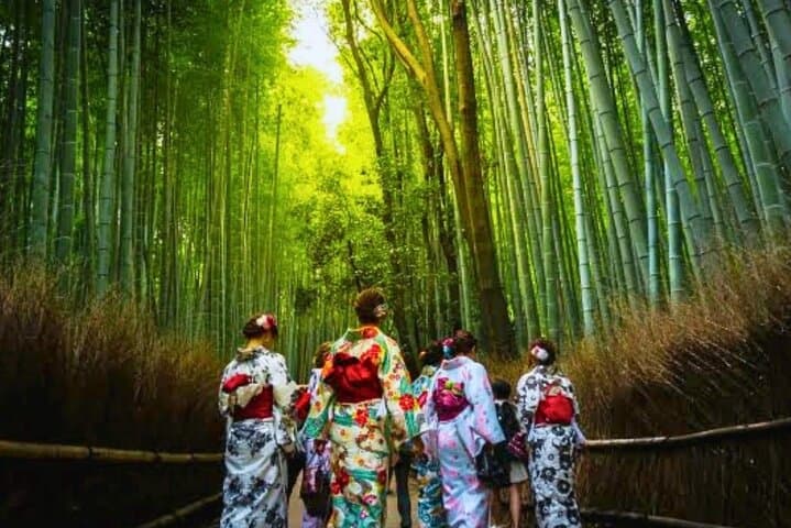 Minoo Falls, Arashiyama Bamboo Forest and Todai-ji Temple Tour