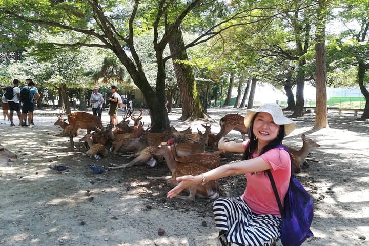 Nara Day Trip from Osaka – Local Japanese Experienced Guide