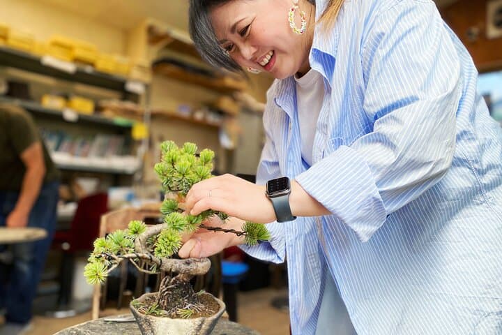 Create Your Own Pine Bonsai & Discover Aesthetics in Osaka Ikeda