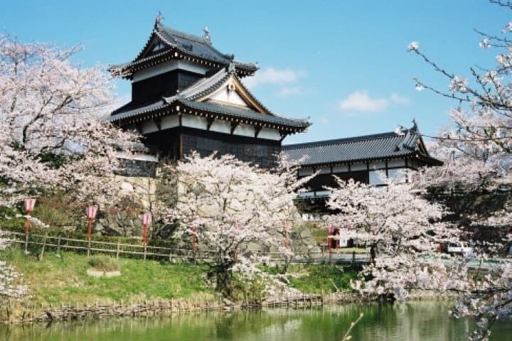 Castle Town Walking Tour with Local Sweets and Sake Tasting
