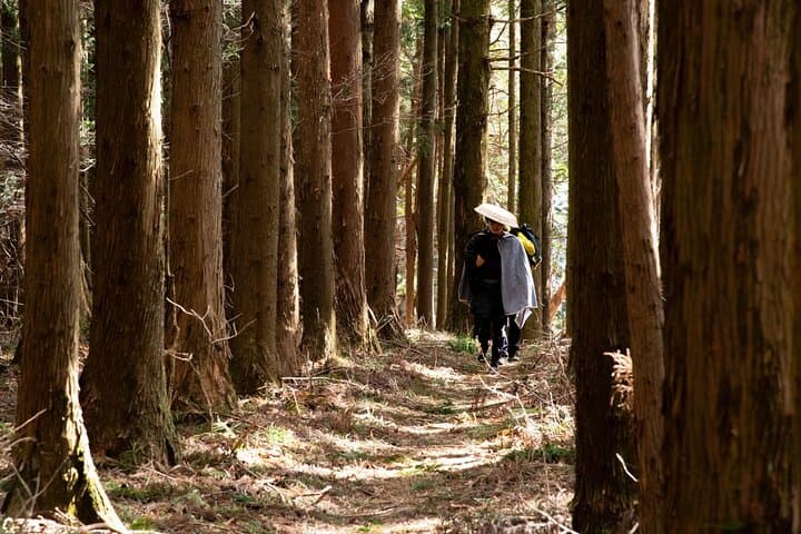 Usui Pass Edo Era Walk