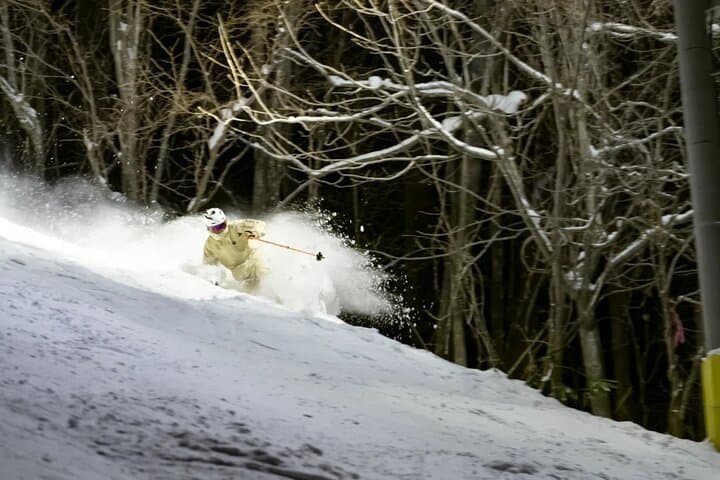 Private 1 Day Ski Tour from Nagano Station