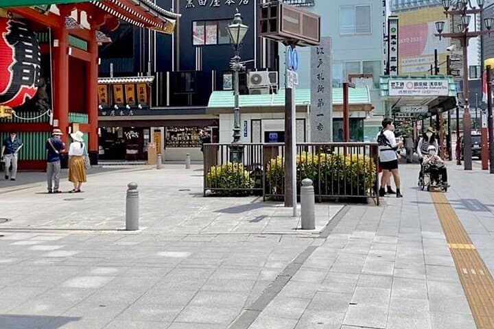 Tokyo and Yokohama Private Tour with Guide