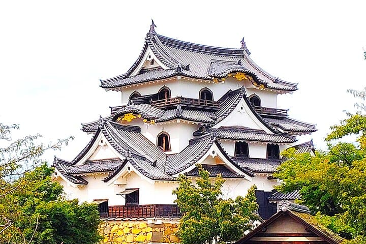 Shiga: Future World Heritage Site Hikone Castle Guided Tour