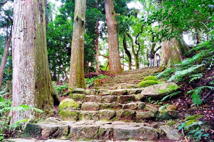 Wakayama: Kumano Nachi Taisha, Seiganto-ji & Waterfall Tour