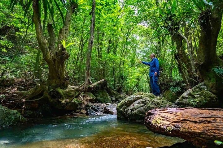 Private Half Day South Amami Jungle Adventure