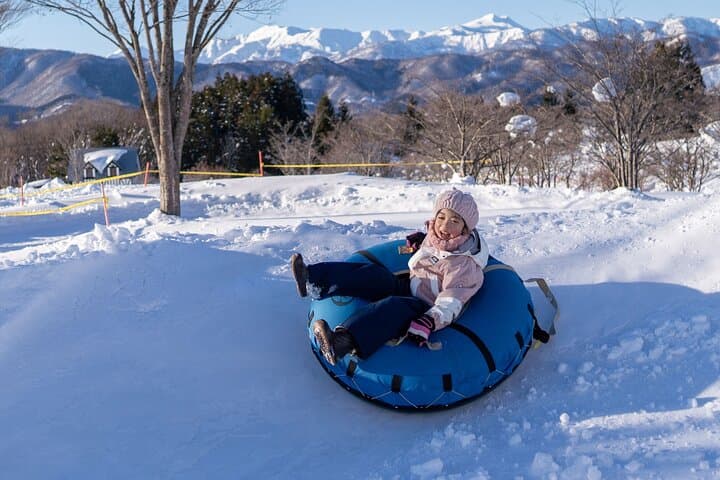 From Nagoya: Snow Day in the Japan Alps & Shirakawago