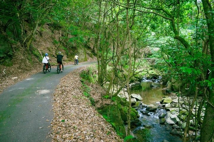 Half Day E Bike Tour in Kasagi Countryside
