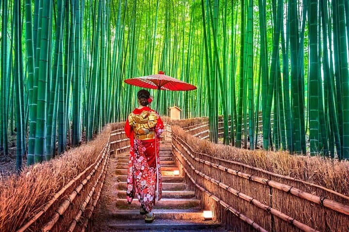 Kyoto Arashiyama & Kinkaku-ji Temple Private Tour From Osaka Port
