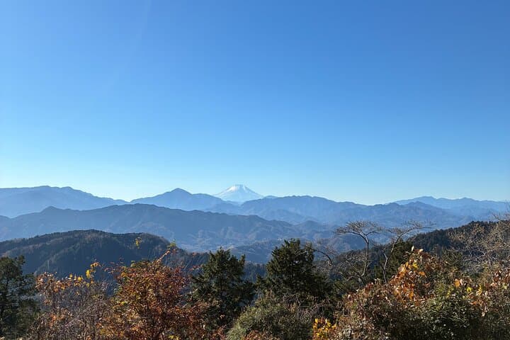 Half Day Hiking at Mt Takao Back to Shinjuku by Noon