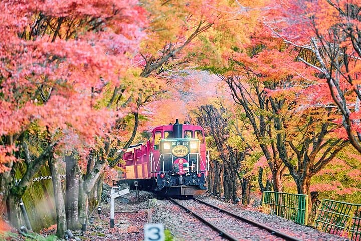 Sagano Train and Kiyomizu Dera Temple Day Tour Osaka
