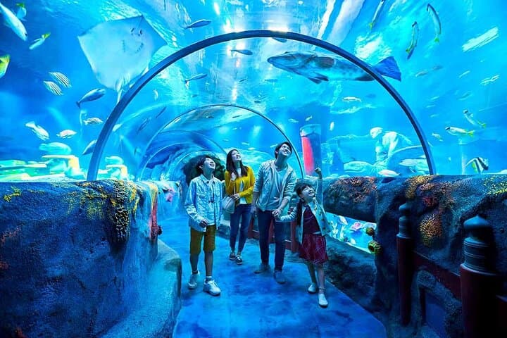 SEA LIFE Nagoya Ticket