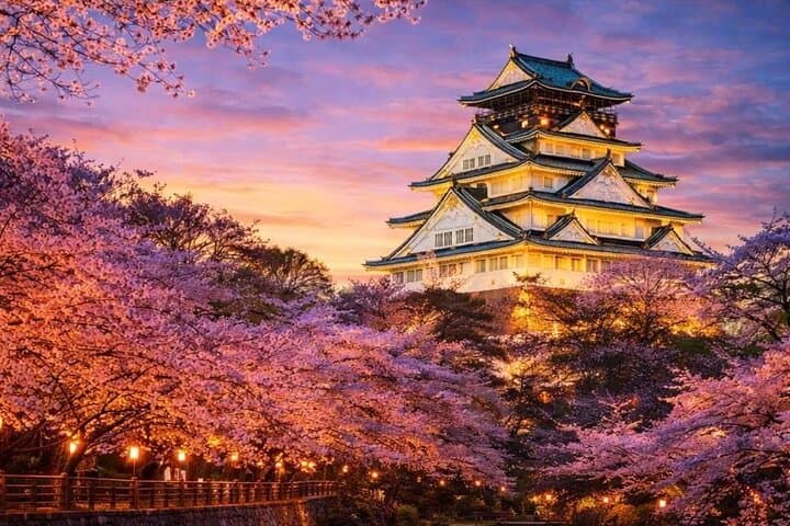 Exclusive Osaka and Nara Customised Private One Day Tour