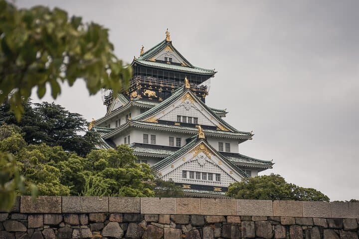Osaka Castle Tower and Toyotomi Ishigaki Museum Pass