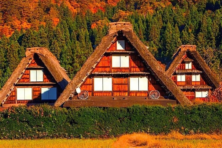 Cultural Heritage Tour Shirakawa Go and Takayama from Nagoya