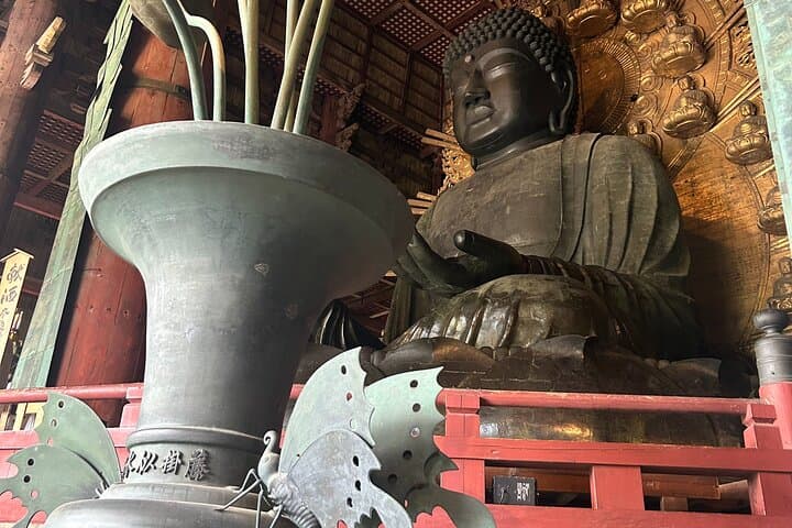 Nara Deer, Great Buddha & Traditional Mochi Experience