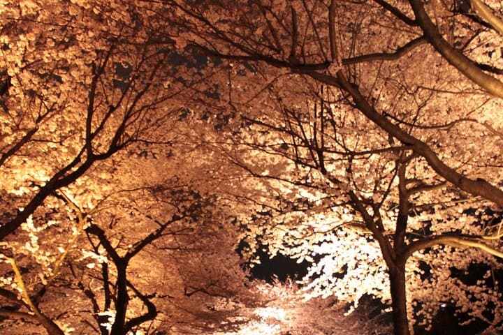 Quiet Highlights Walking Tour in Kanazawa