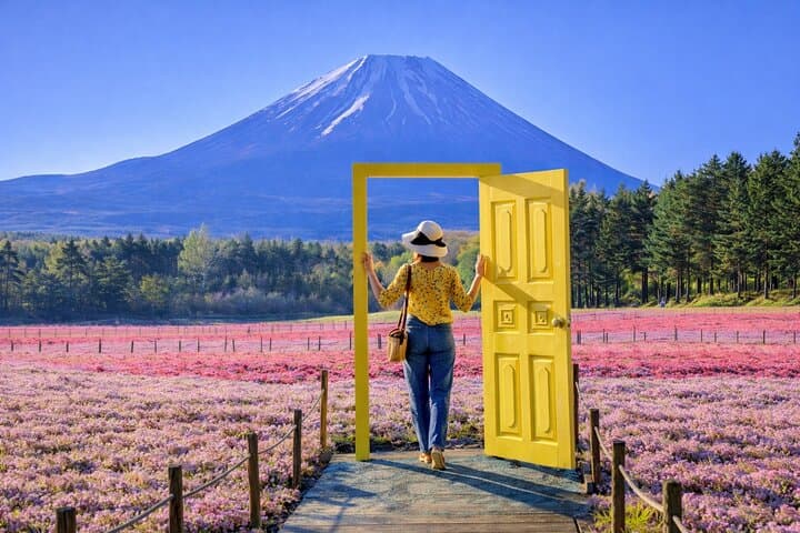 Season Special: Private Mt. Fuji Shibazakura Spring Tour