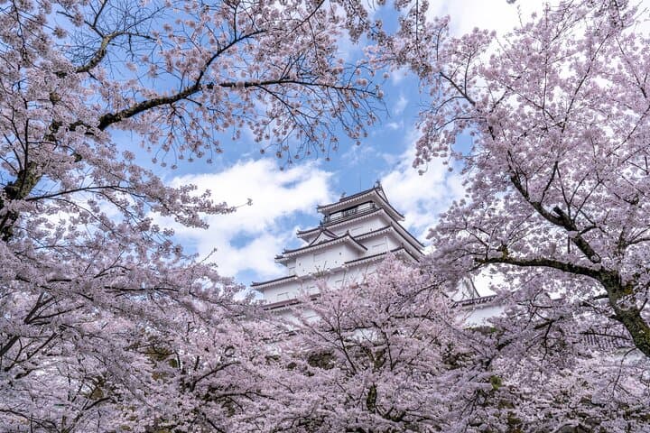 Full Day Fukushima Private Tour: Tsuruga Castle & Ouchi-juku