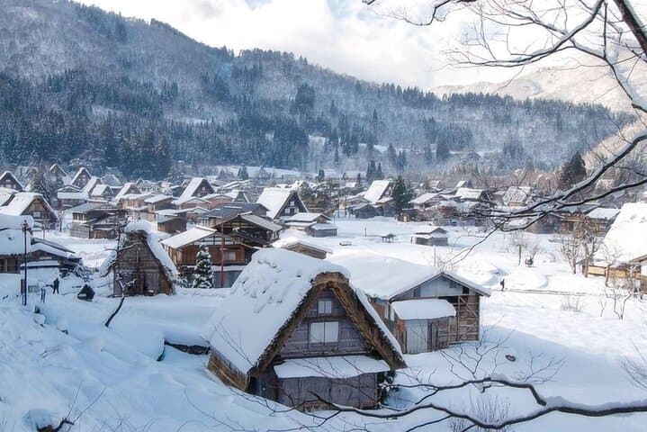 Shirakawa-go and Takayama Private Customiz Tour from Osaka/kyoto