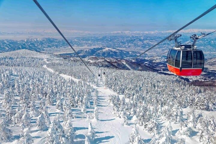 Sendai Ginzan Onsen, Zao Ropeway Snow Monsters with Lunch tour