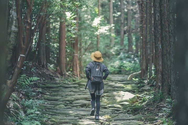 History Learning: 2D1N Kumano Kodo Iseji Tour with Local Guide