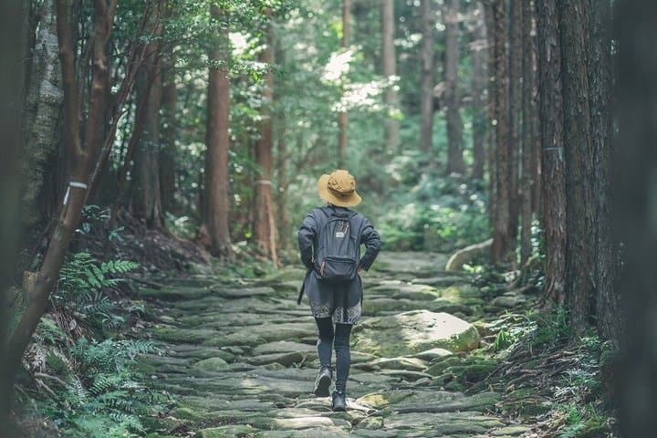 Intensive Trekking: 2D1N Kumano Kodo Iseji Tour with Local Guide