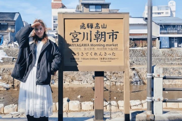 Full Day Tour from Nagoya Takayama Old Town And Shirakawa go