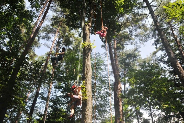 Nagano Omachi Forest Immersion and Artisan Lumberjack Tour