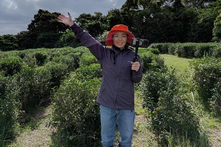 Yamagusuku Tea Field Tour and Tasting with English Guide