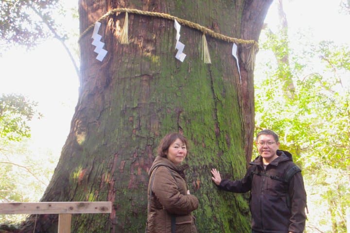 Hakusan Foothills Private Car Tour from Kanazawa
