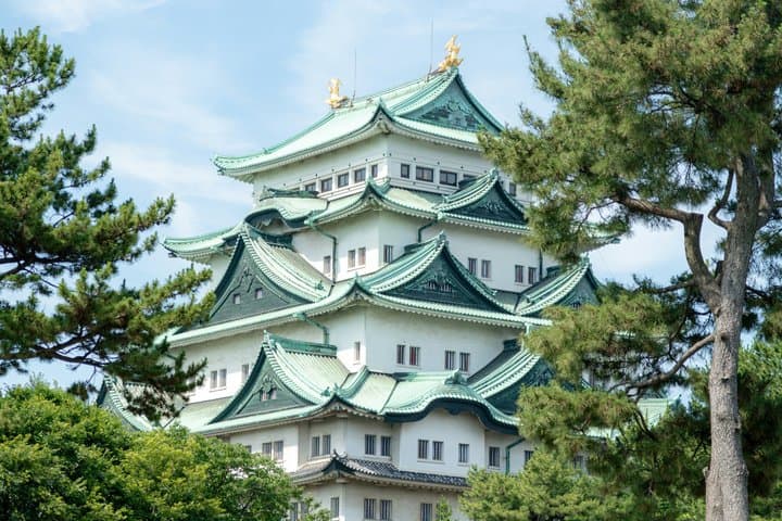 Nagoya Cruise Shore Excursion Explore Castle Shopping and Culture