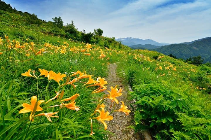 Hakusan Alpine Botanical Garden and Shiramine Bus Tour